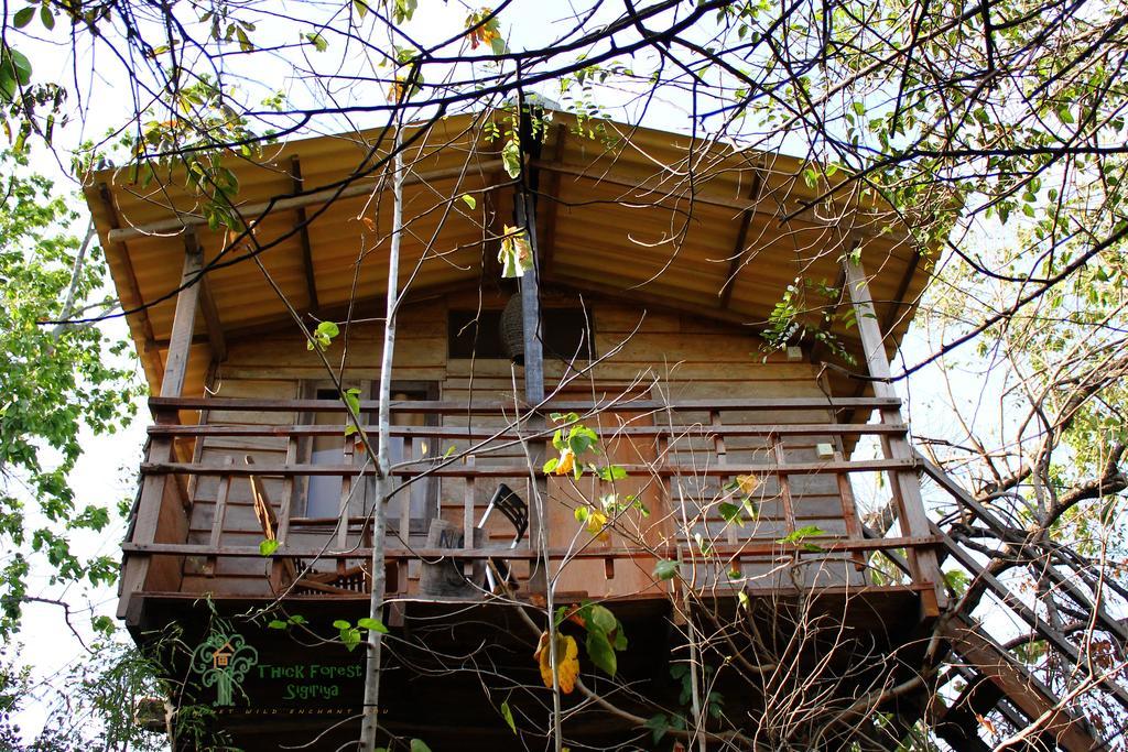 The Thick Forest Sigiriya Rom bilde