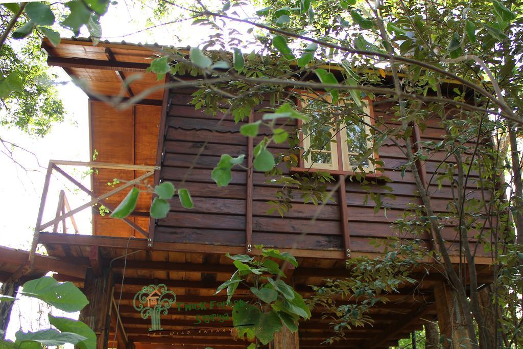 The Thick Forest Sigiriya Rom bilde