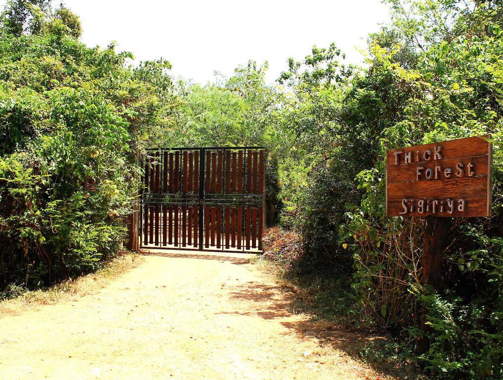 The Thick Forest Sigiriya Eksteriør bilde