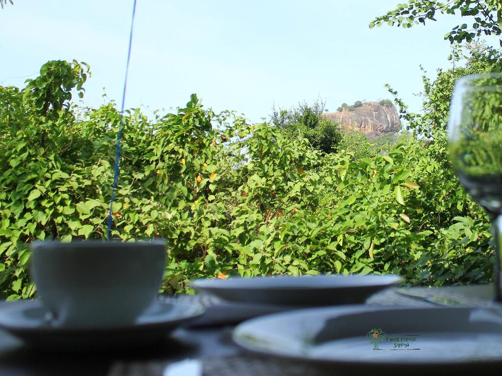 The Thick Forest Sigiriya Eksteriør bilde