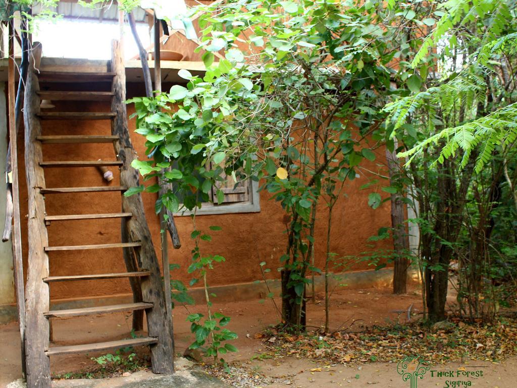 The Thick Forest Sigiriya Eksteriør bilde