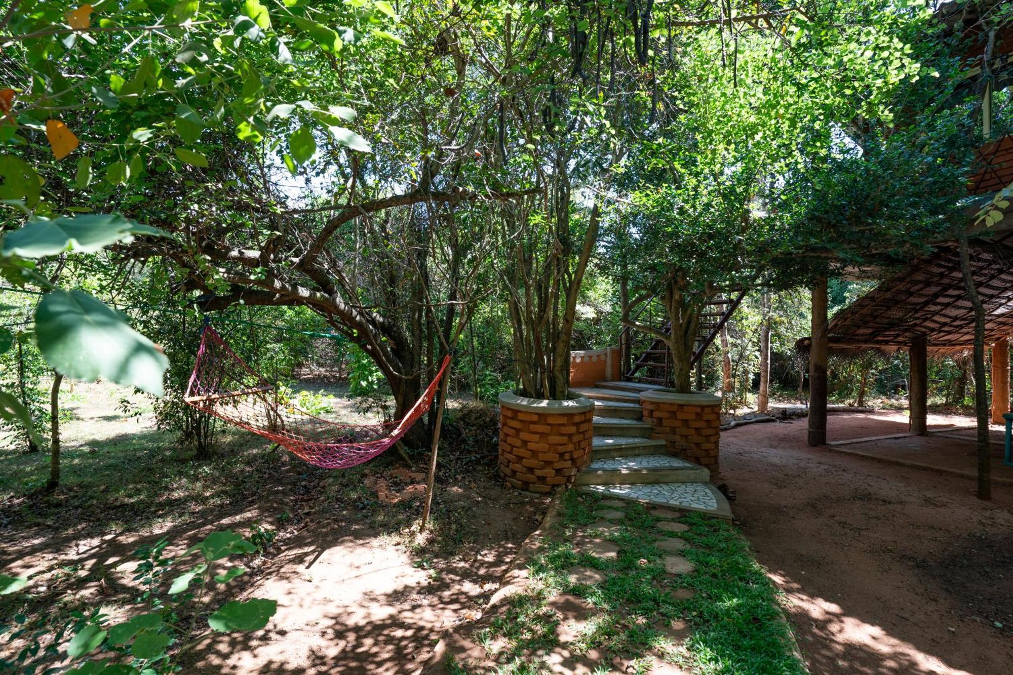 The Thick Forest Sigiriya Eksteriør bilde