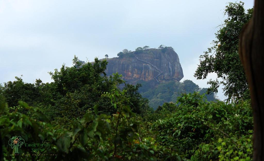 The Thick Forest Sigiriya Eksteriør bilde